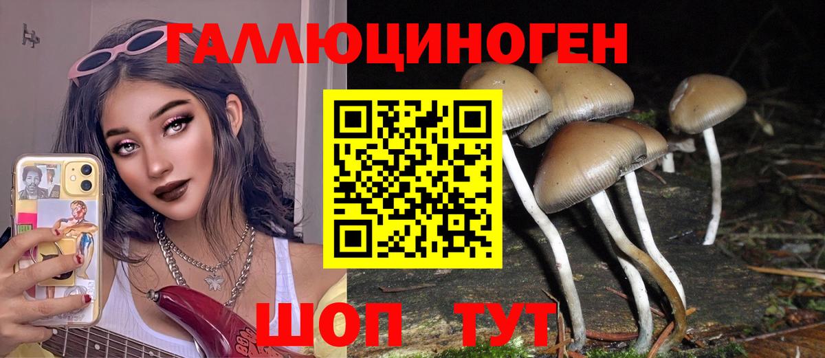 Семилуки  Псилоцибиновые грибы Psilocybine cubensis  Вход с VPN 